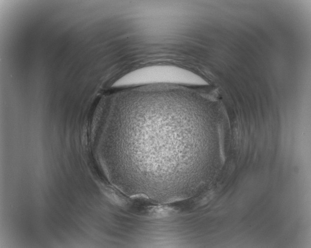 X0000066120379200603241616