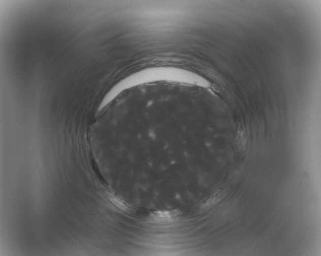 X0000066120381200603241616