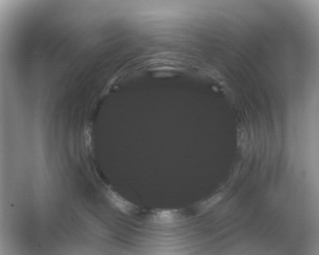 X0000066120382200603241616