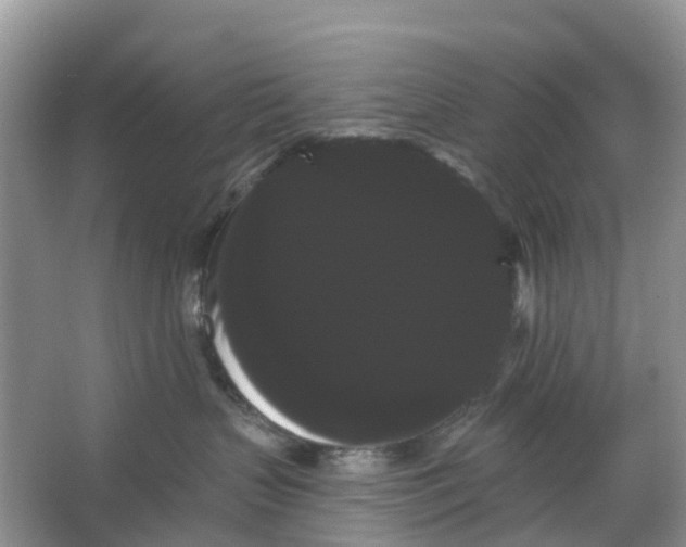 X0000066120383200603241616