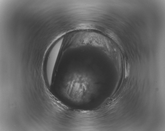 X0000066120387200603241616