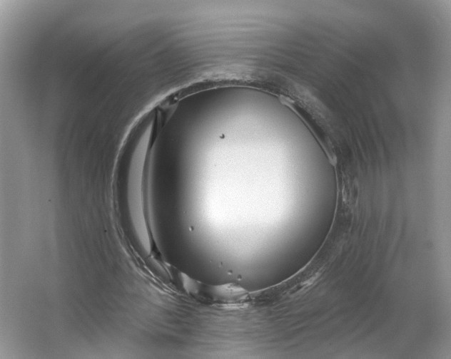 X0000066120388200603241616