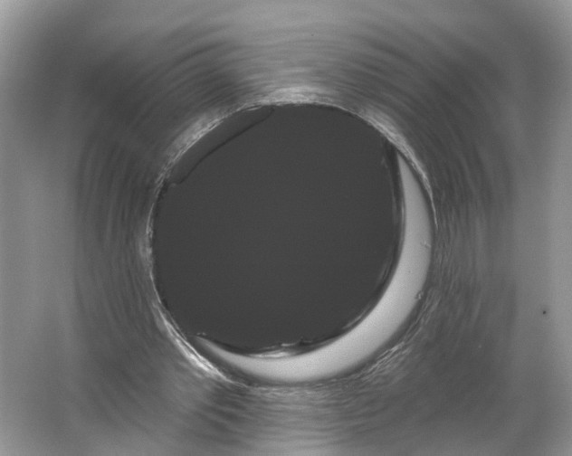 X0000066120389200603241616