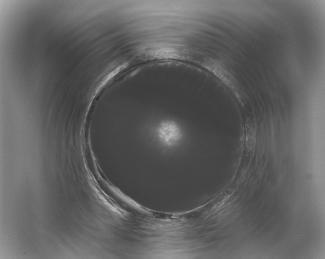 X0000066120390200603241616