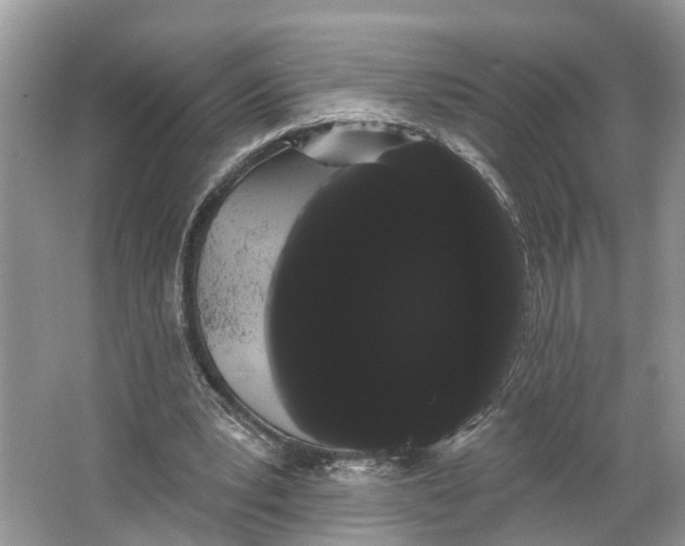 X0000066120391200603241616