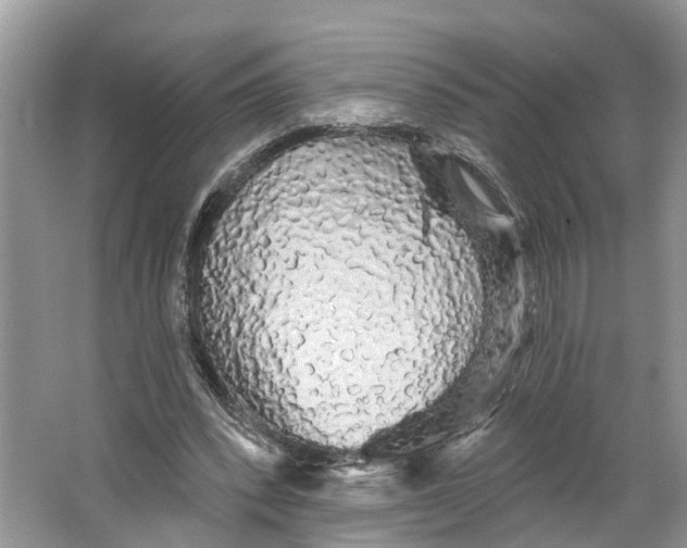 X0000066120392200603241615