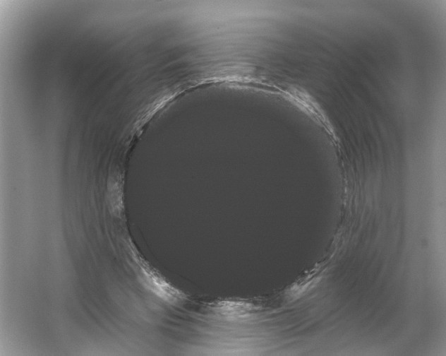 X0000066120393200603241615