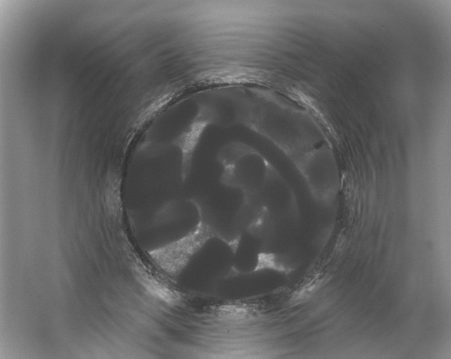 X0000066120394200603241615