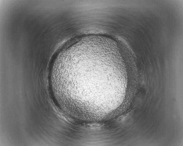 X0000066120395200603241615