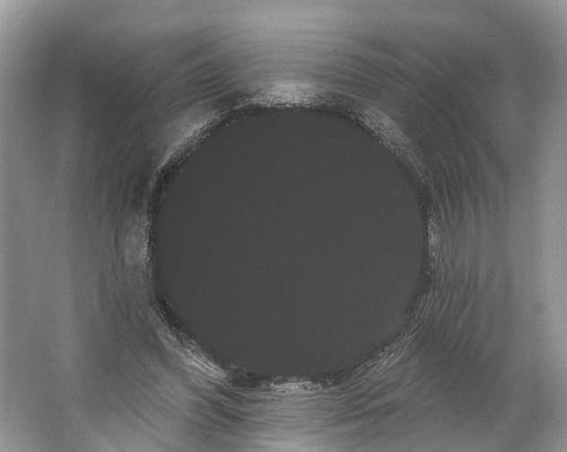 X0000066120396200603241615