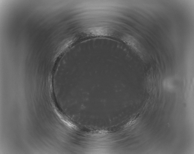 X0000066120398200603241615