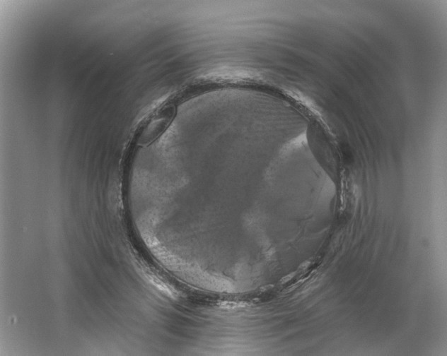 X0000066120399200603241615