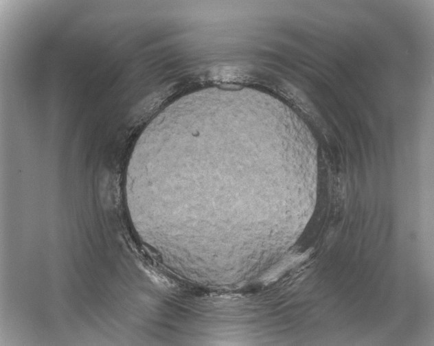 X0000066120401200603241615