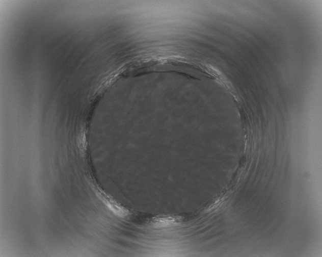 X0000066120405200603241615