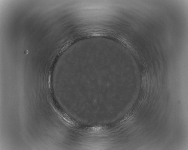 X0000066120406200603241615