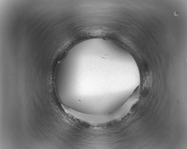 X0000066120407200603241615