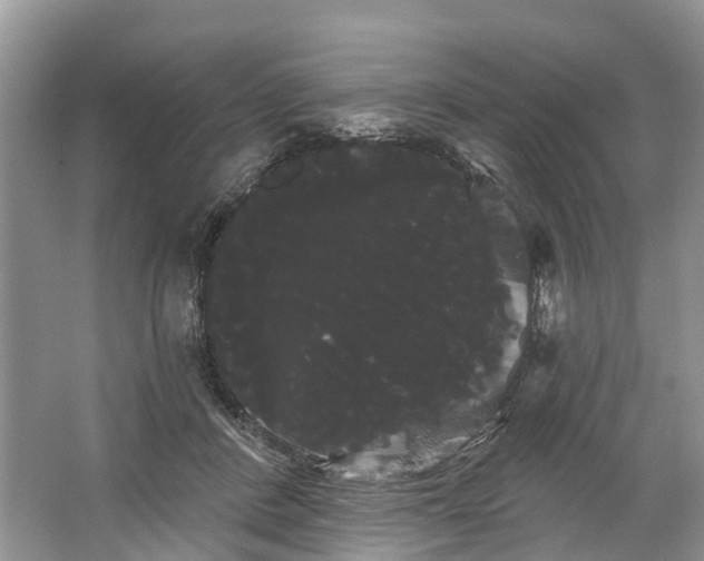 X0000066120408200603241615