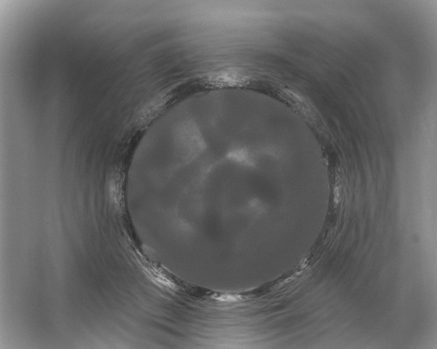 X0000066120409200603241615