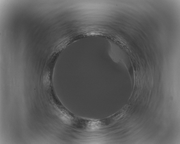 X0000066120410200603241615