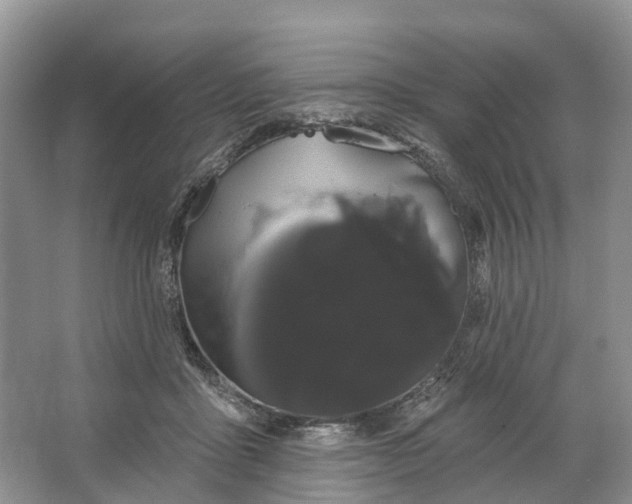 X0000066120411200603241615