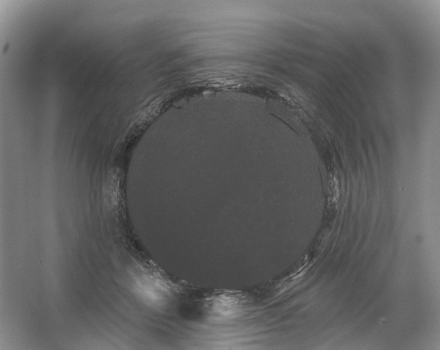 X0000066120412200603241615