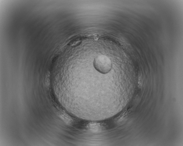 X0000066120413200603241615