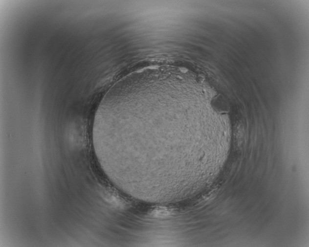 X0000066120416200603241615