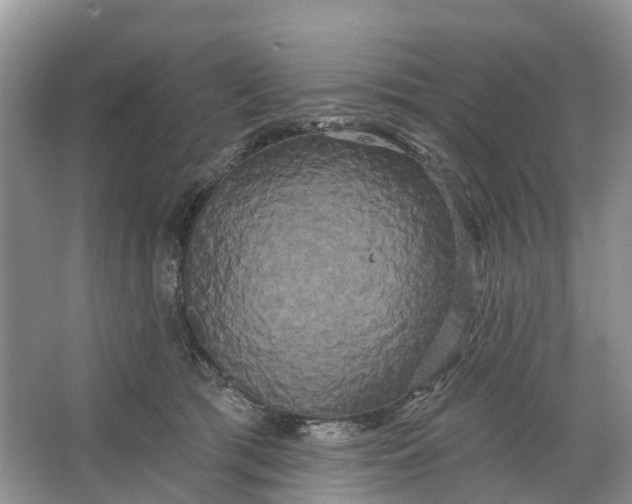 X0000066120417200603241615