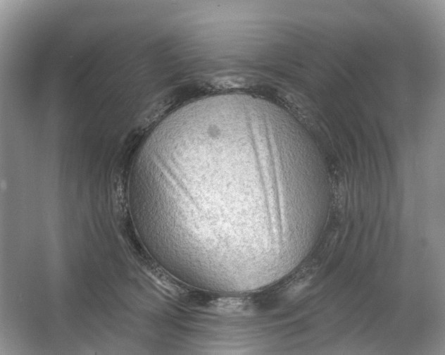 X0000066120418200603241615