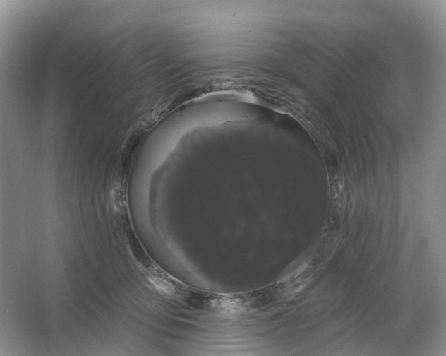 X0000066120419200603241615