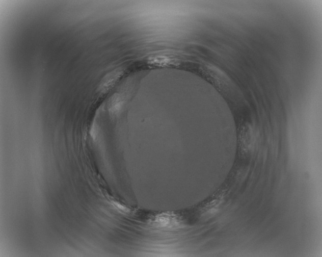 X0000066120420200603241615