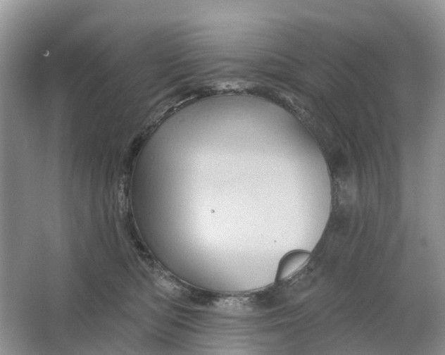 X0000066120422200603241615