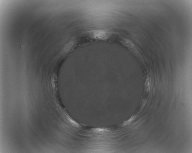 X0000066120424200603241615