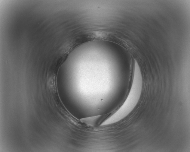 X0000066120425200603241615