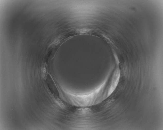 X0000066120427200603241615