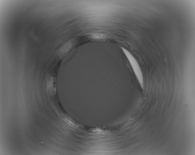 X0000066120428200603241615