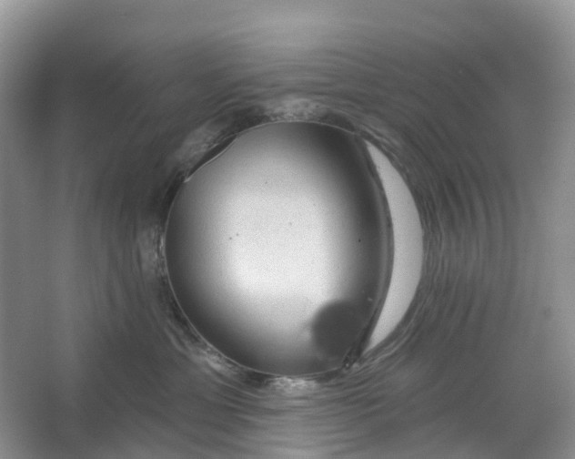 X0000066120429200603241615