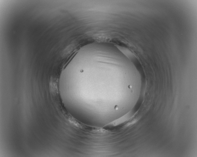 X0000066120432200603241615