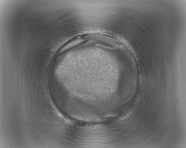 X0000066120433200603241614