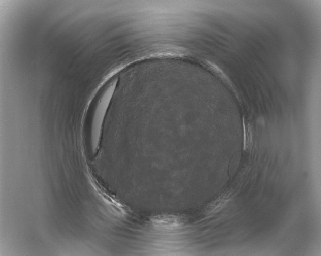 X0000066120435200603241614