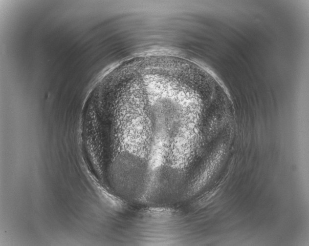 X0000066120437200603241614