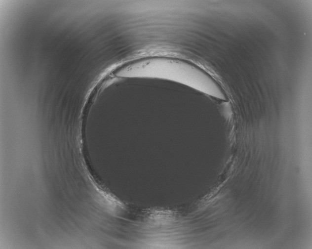 X0000066120438200603241614