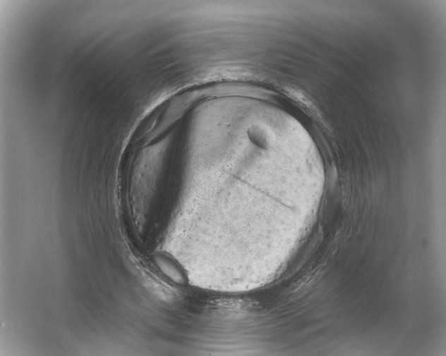 X0000066120439200603241614