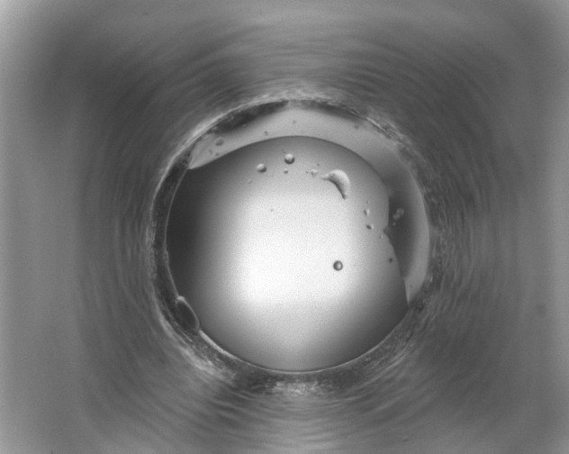 X0000066120440200603241614