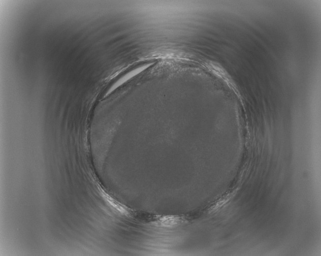 X0000066120441200603241614