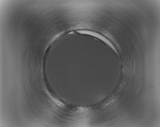 X0000066120442200603241614