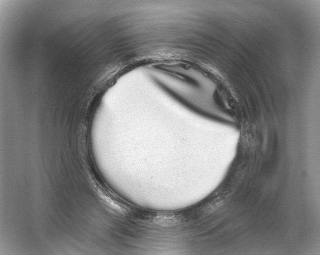 X0000066120445200603241614