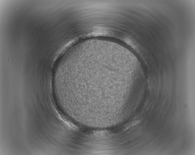 X0000066120446200603241614