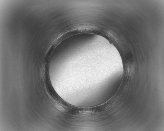 X0000066120448200603241614