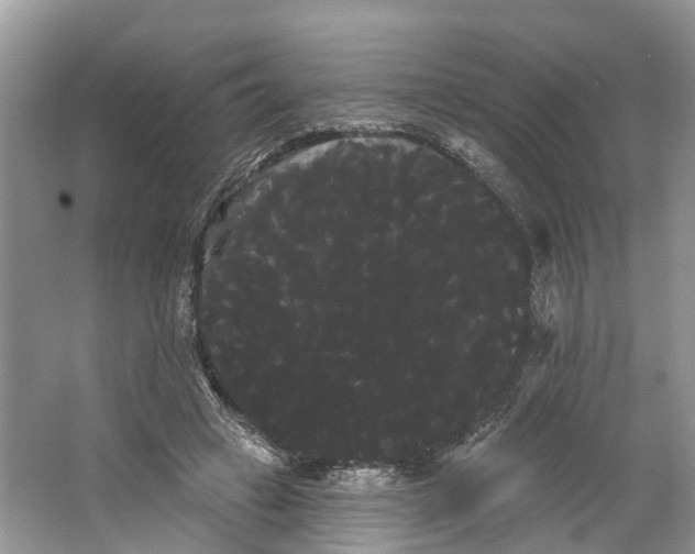 X0000066120449200603241614